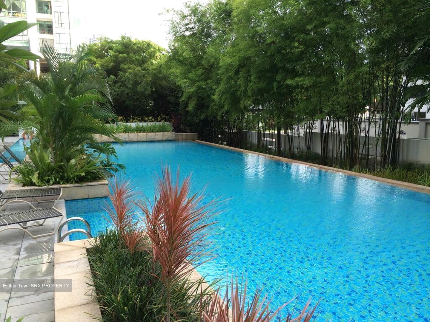 Mandale Heights (D11), Apartment #485561451